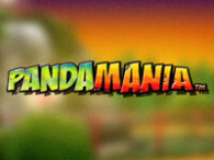 Pandamania