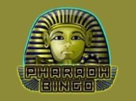 Pharaoh Bingo