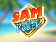 Sam on the Beach