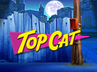 Top Cat