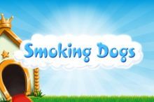 Smoking Dogs